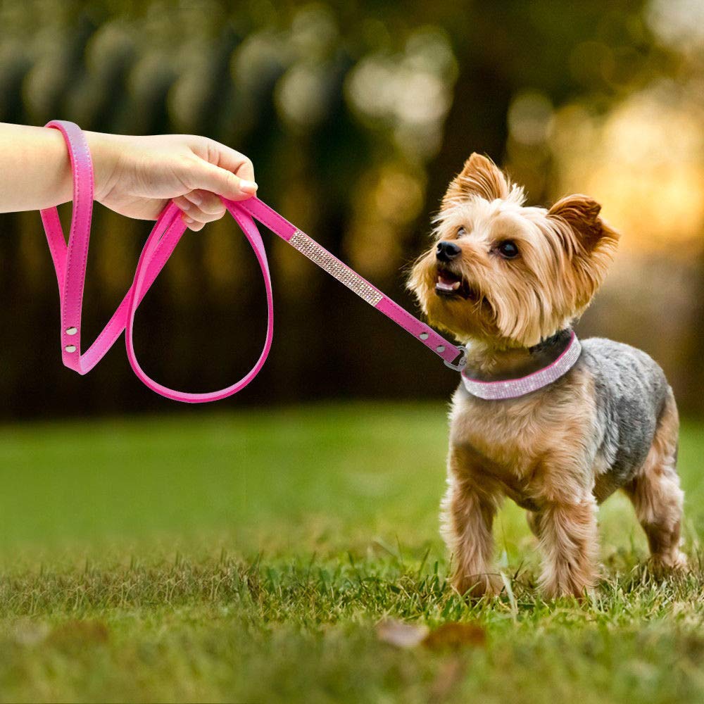 haoyueer pet collar leash combo offers coordinated style for outings and photos.