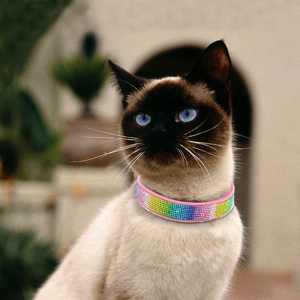 Haoyueer model wearing pink collar highlights fashionable everyday use.