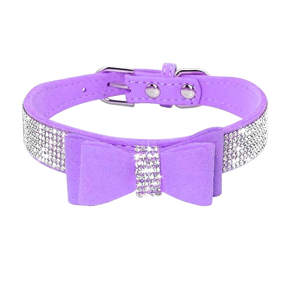 Haoyueer purple suede collar on a pet for chic daily wear