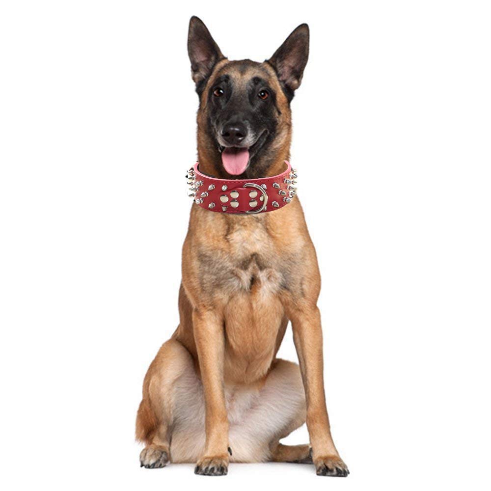 Haoyueer close-up of nickel-plated studs and durable faux leather, secure D-ring for confident leash control