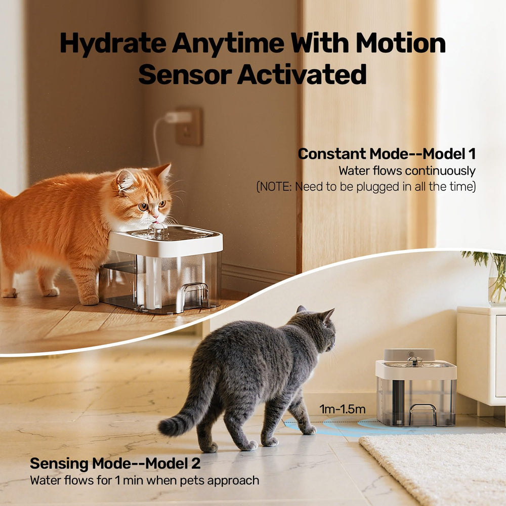 HAPAW 3L capacity supports longer intervals between refills.
