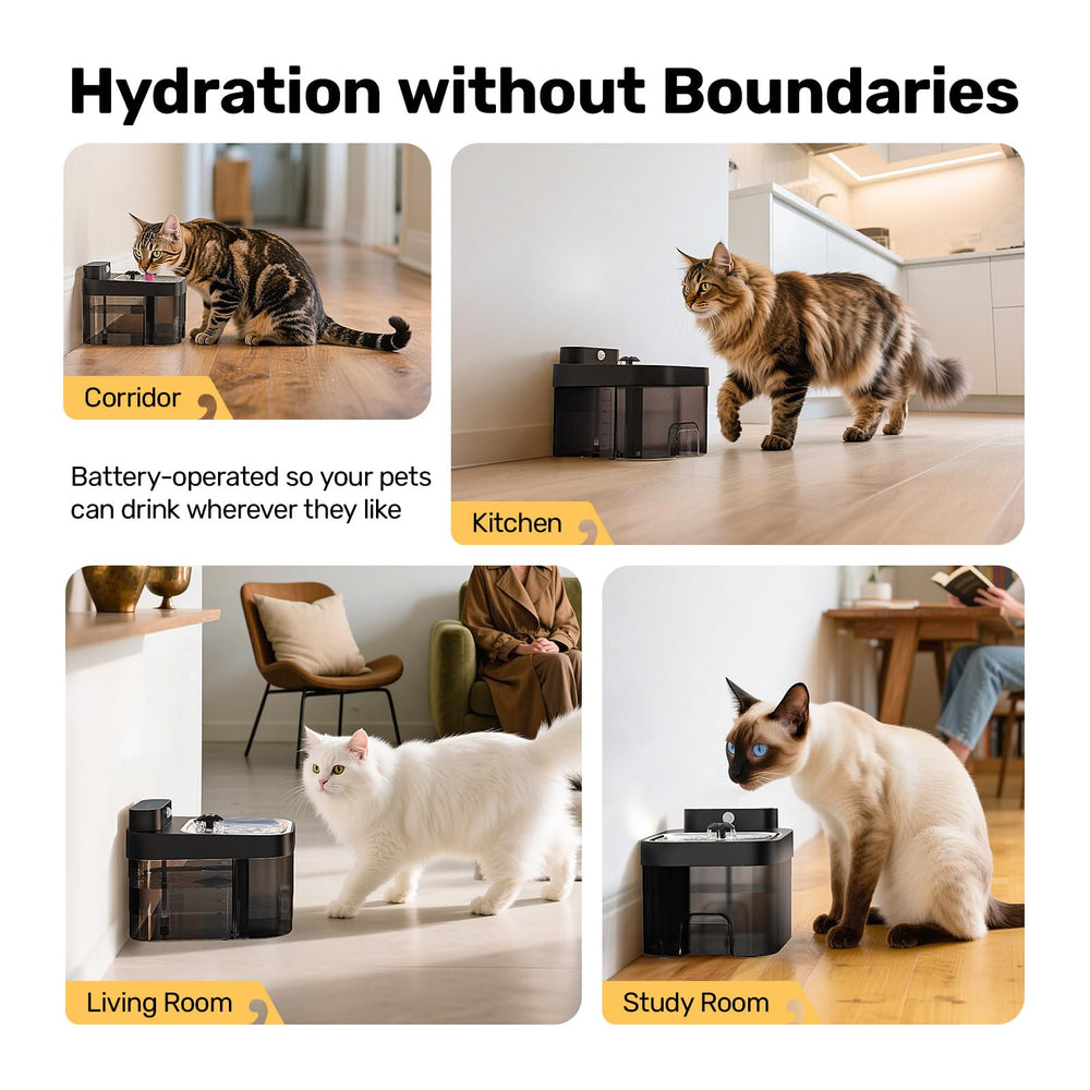 HAPAW easy-cleaning design helps you rinse tanks quickly.