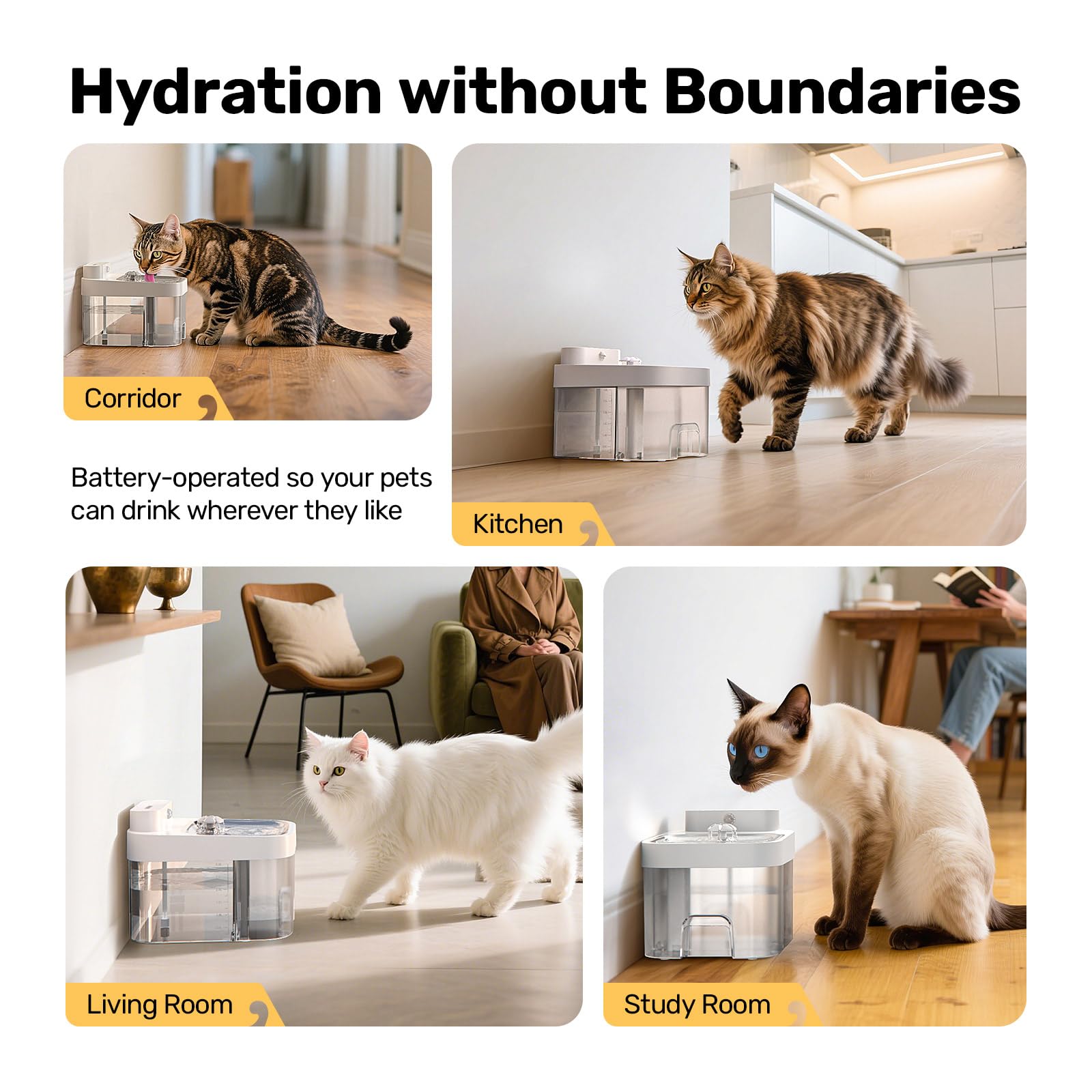 HAPAW removable tanks simplify quick cleaning between uses.