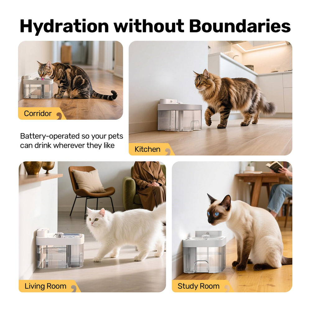 HAPAW removable tanks simplify quick cleaning between uses.