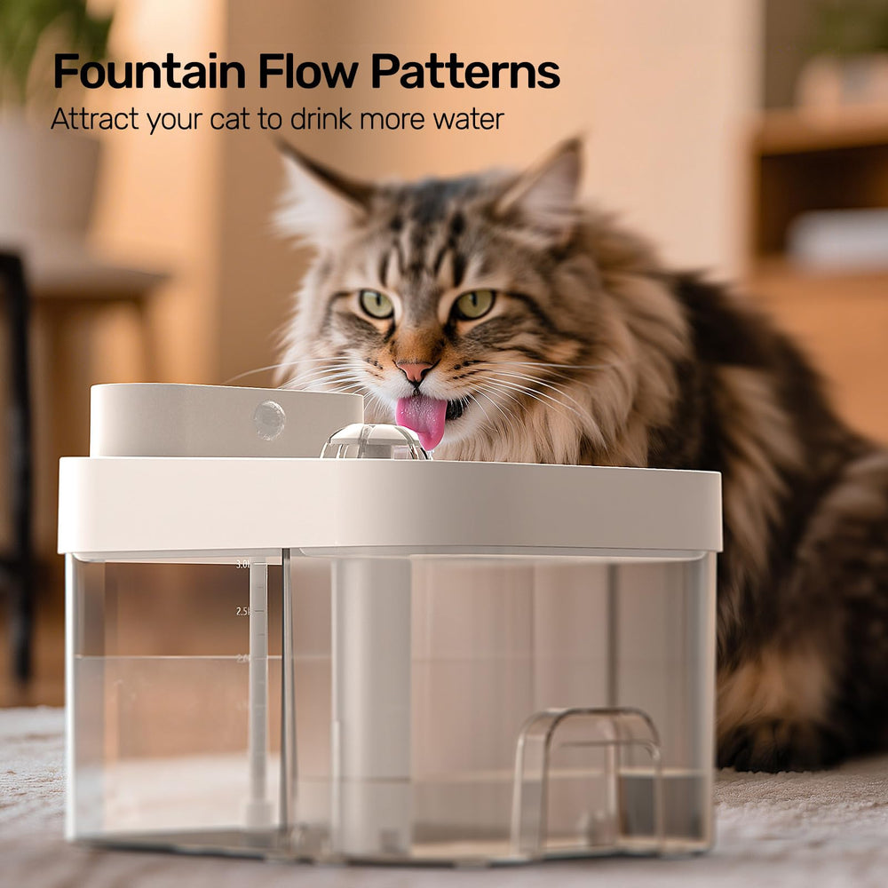HAPAW cat water fountain sponges included image highlights added hair-catching spares.