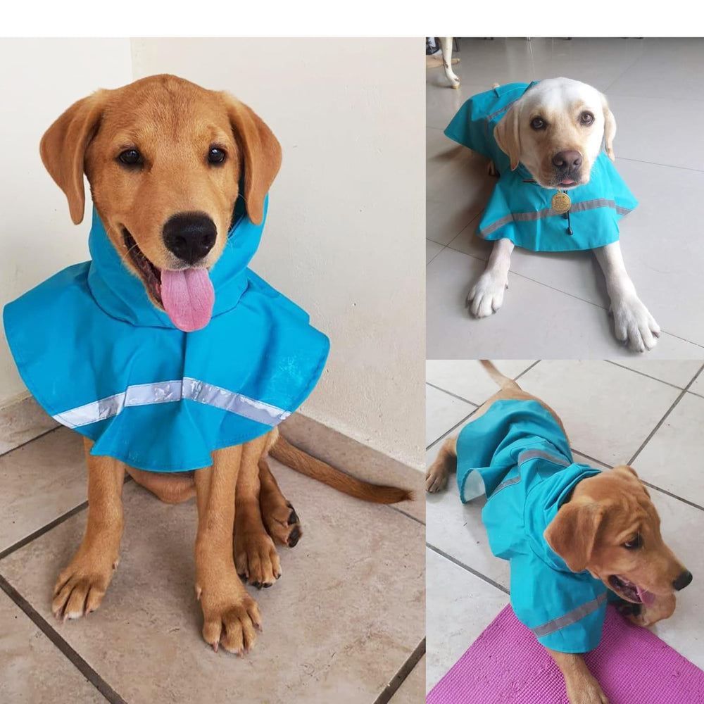 HAPEE raincoat elastic leg straps keep the coat centered during movement.