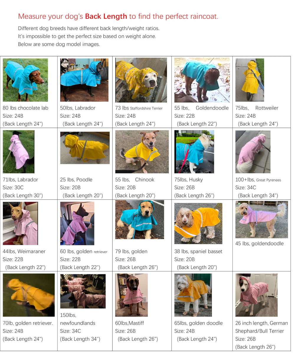 HAPEE leg straps secure coat during play