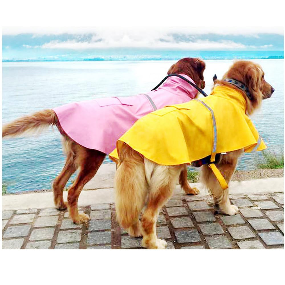 HAPEE dog raincoat worn during a walk in light rain demonstrates practical outerwear.