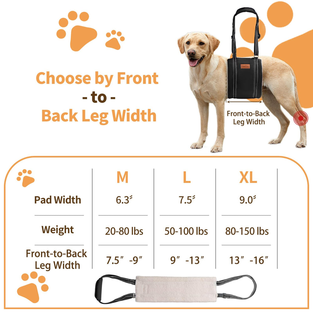 HapiPup folded-storage-bag demonstrates portability and easy cleanup