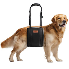 HapiPup dog lift harness front view highlights sturdy structure for hind-end support