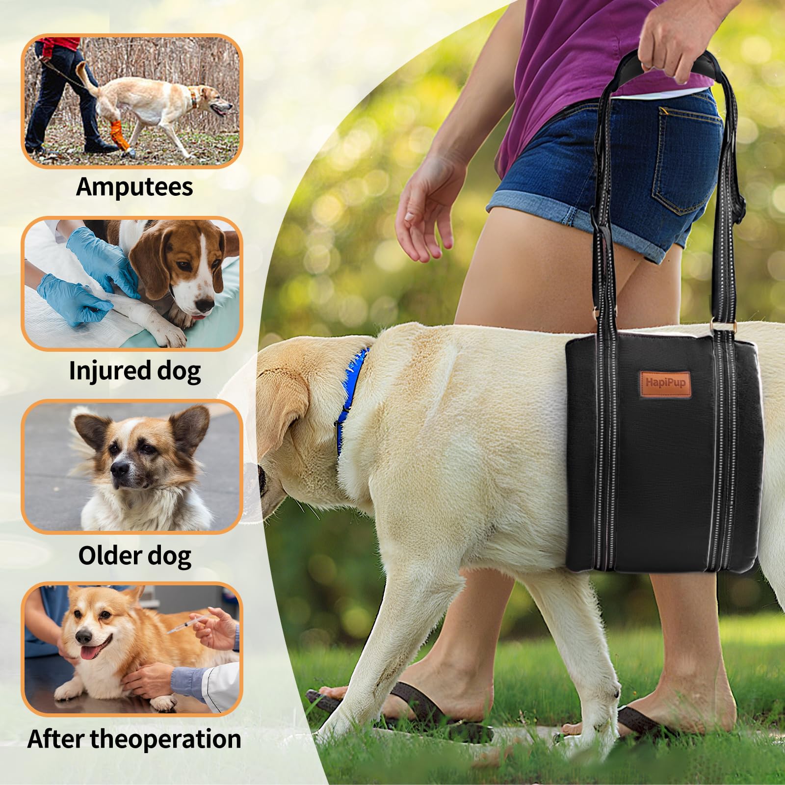 HapiPup in-use image conveys practical assistance during daily activities