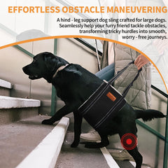 HapiPup dog lift harness rear view emphasizes stable hip support during mobility tasks