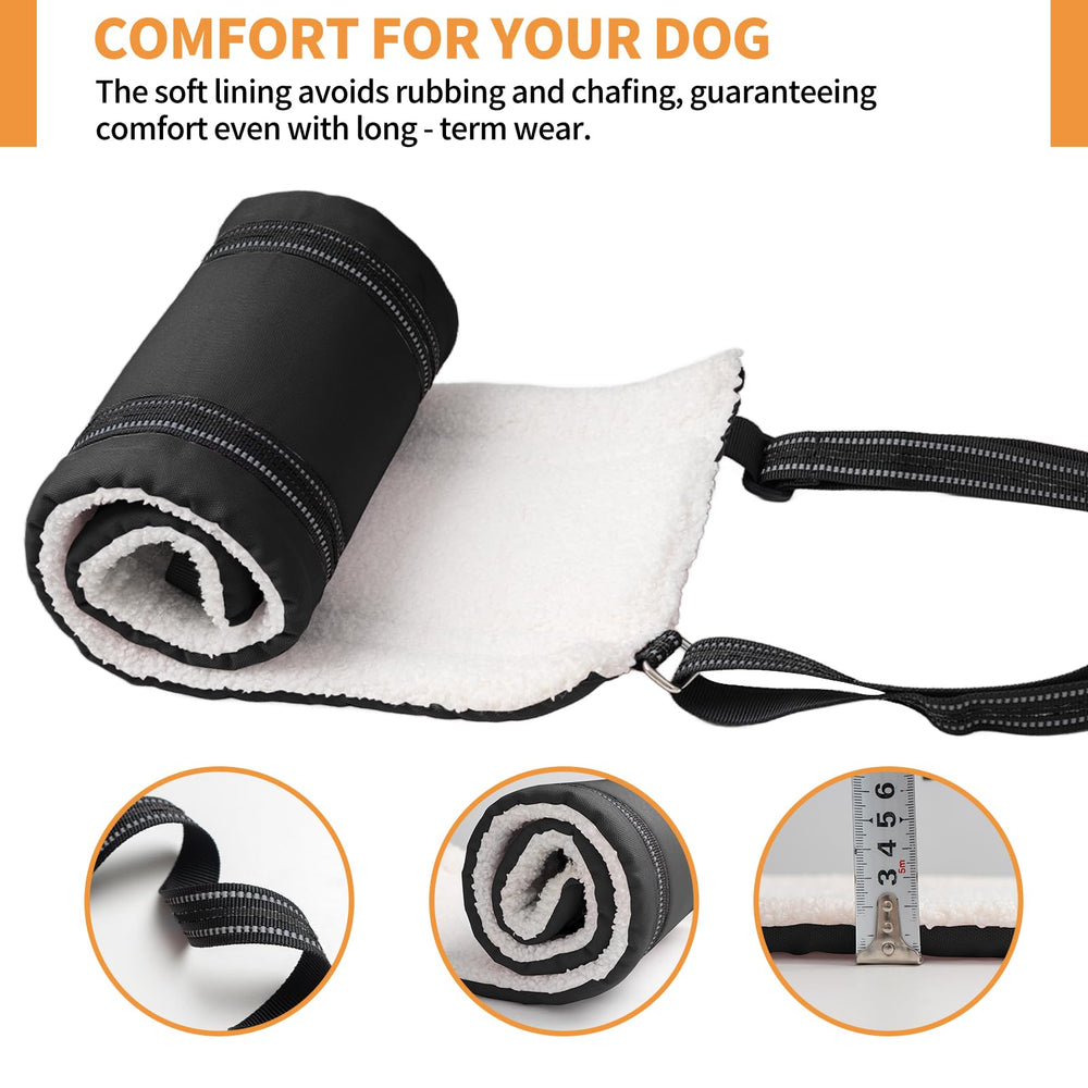 HapiPup side-strap adjustment highlights customizable comfort for large dogs