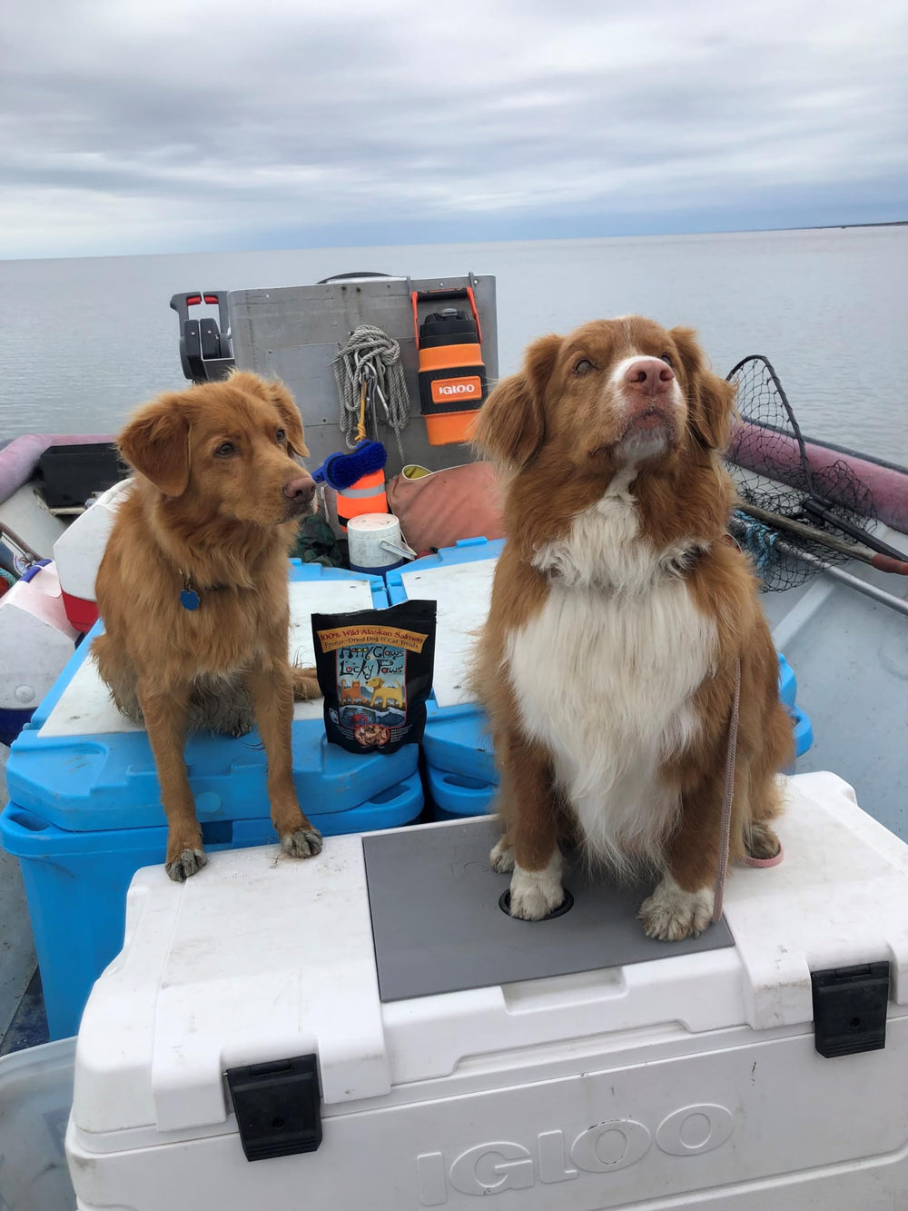 Happy Claws Lucky Paws Made in Alaska ensures premium wild-caught salmon quality for pets.
