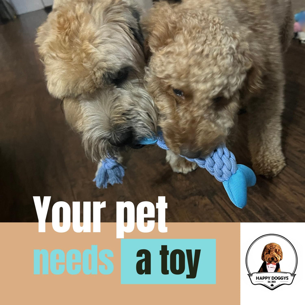HappyDoggys Smiley Fish Toy machine-washable tag for easy cleaning.