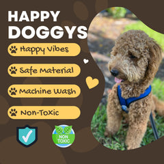 HappyDoggys Smiley Fish Toy rope-mouth-knots emphasize interactive play and fetch.