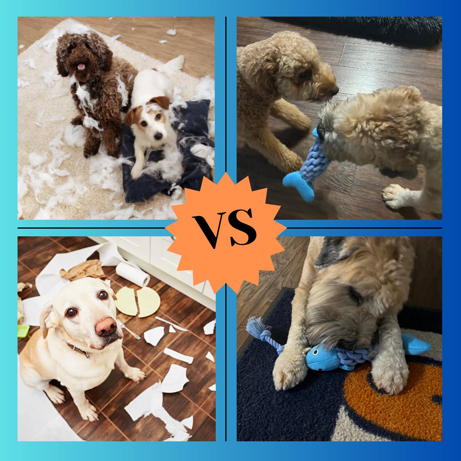 HappyDoggys Smiley Fish Toy soft-rope design supports grip and teeth cleaning sessions.