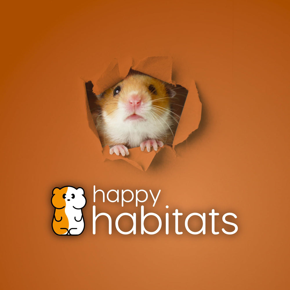 Happy Habitats small-pet-enrichment ball enables lively, interactive play with your pet.