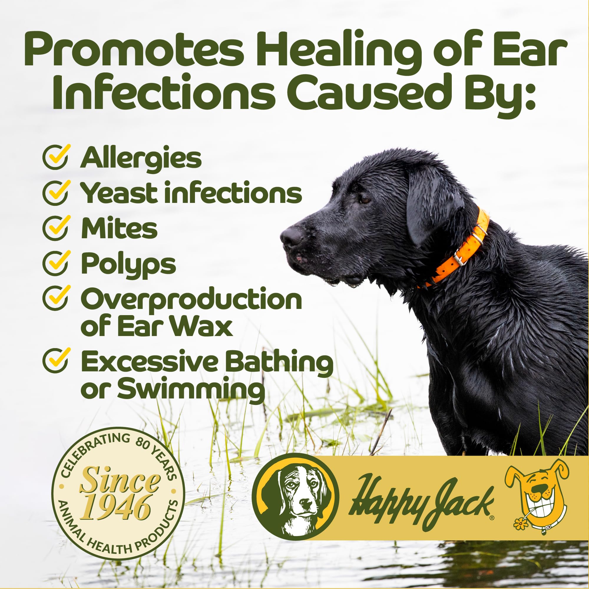 HAPPY JACK Ear Canker Powder closeup on a dog's ear for potential relief.