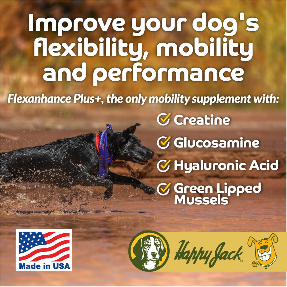 Happy Jack Flexenhance chews close-up highlighting texture and size