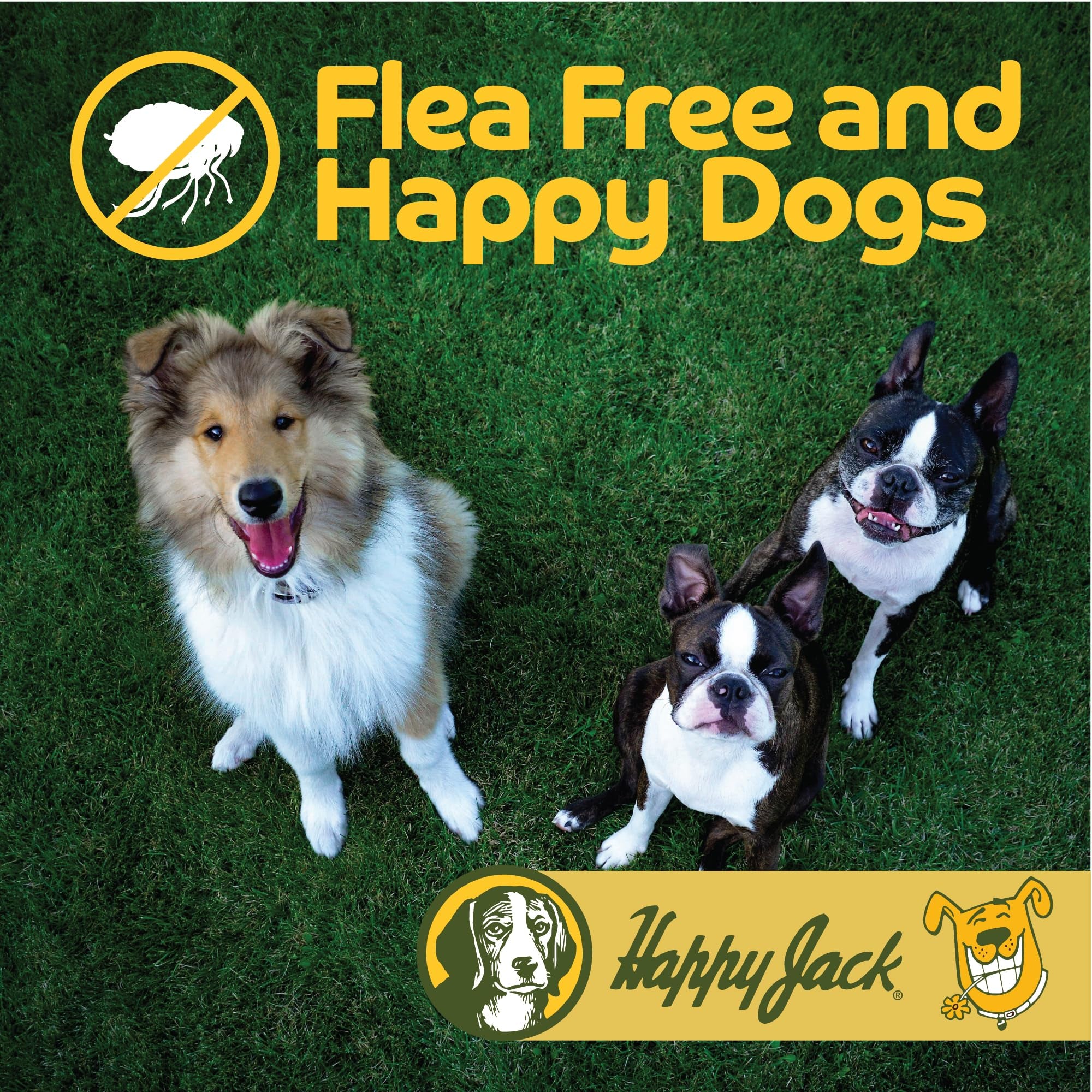 Happy Jack polvo en jaula de perros para áreas de descanso limpias