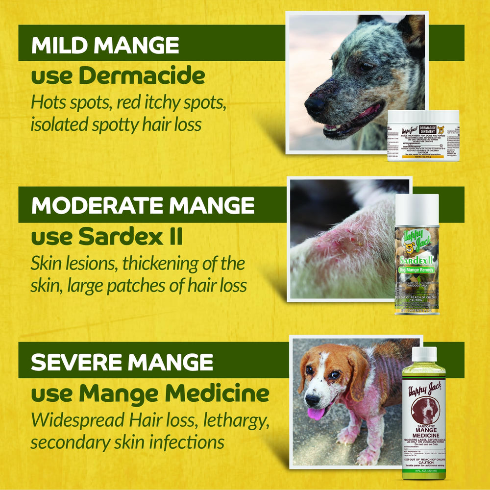 HAPPY JACK Sardex application-on-dog-ruff demonstrates quick, soothing skin care