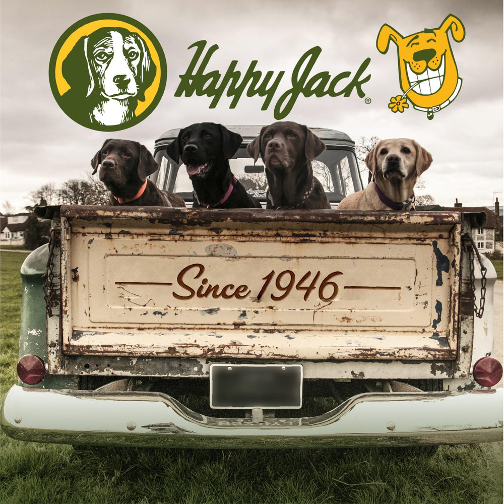 Dog enjoys seasonal coat moisture with Happy Jack oil.