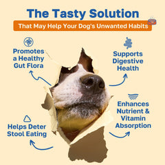 Happy Paws No Poo Chews soft chews close-up shows pumpkin and probiotic blend for digestion.