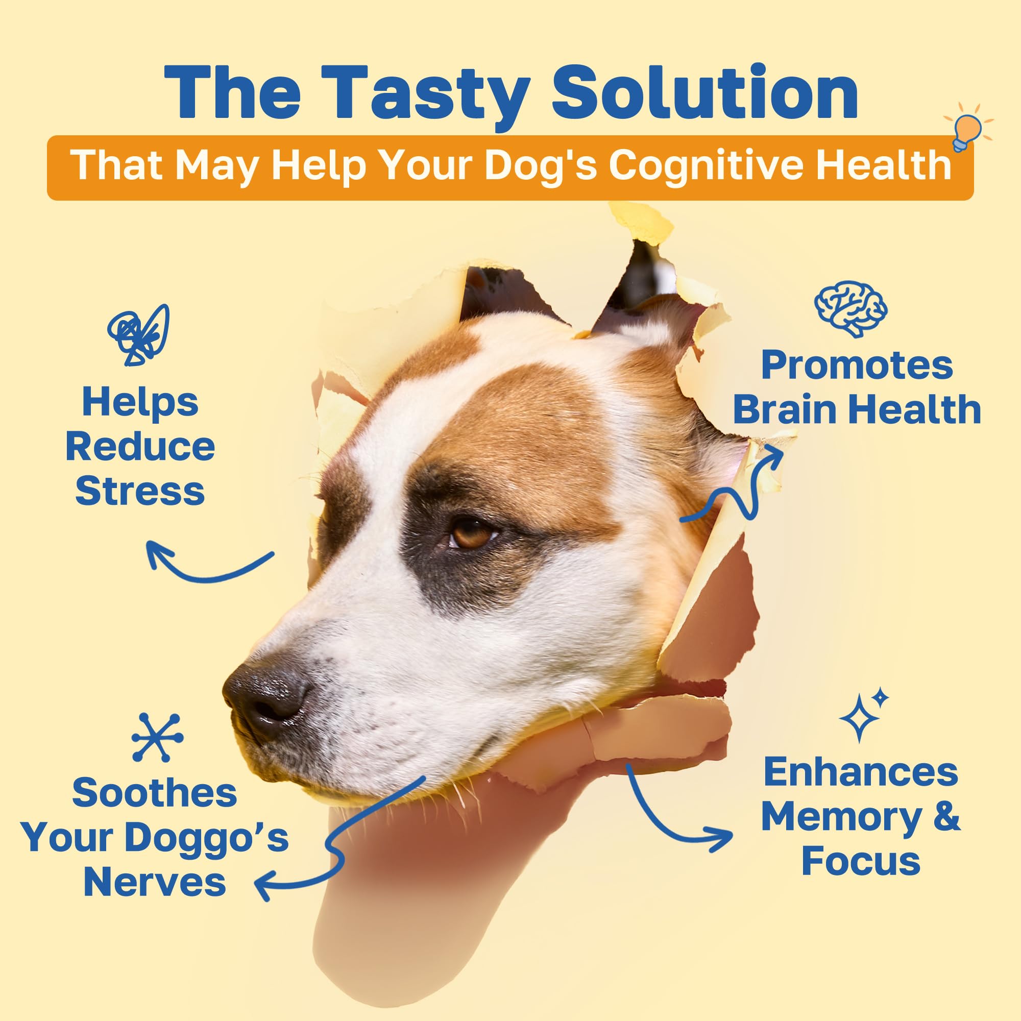 Happy Paws soft chews closeup showcase easy, daily focus support.