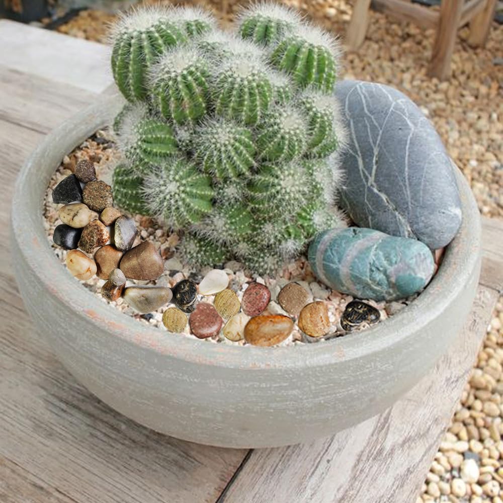 HappyFiller pebbles indoor outdoor decor enhances plant pots and garden beds