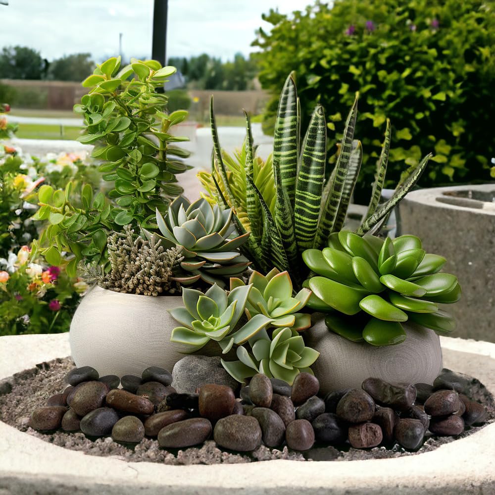HappyFiller red pebbles terrarium decor adds texture and color to indoor displays.