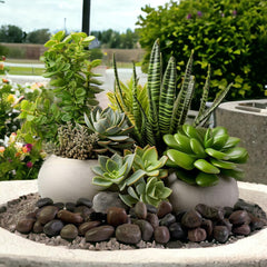HappyFiller red pebbles terrarium decor adds texture and color to indoor displays.