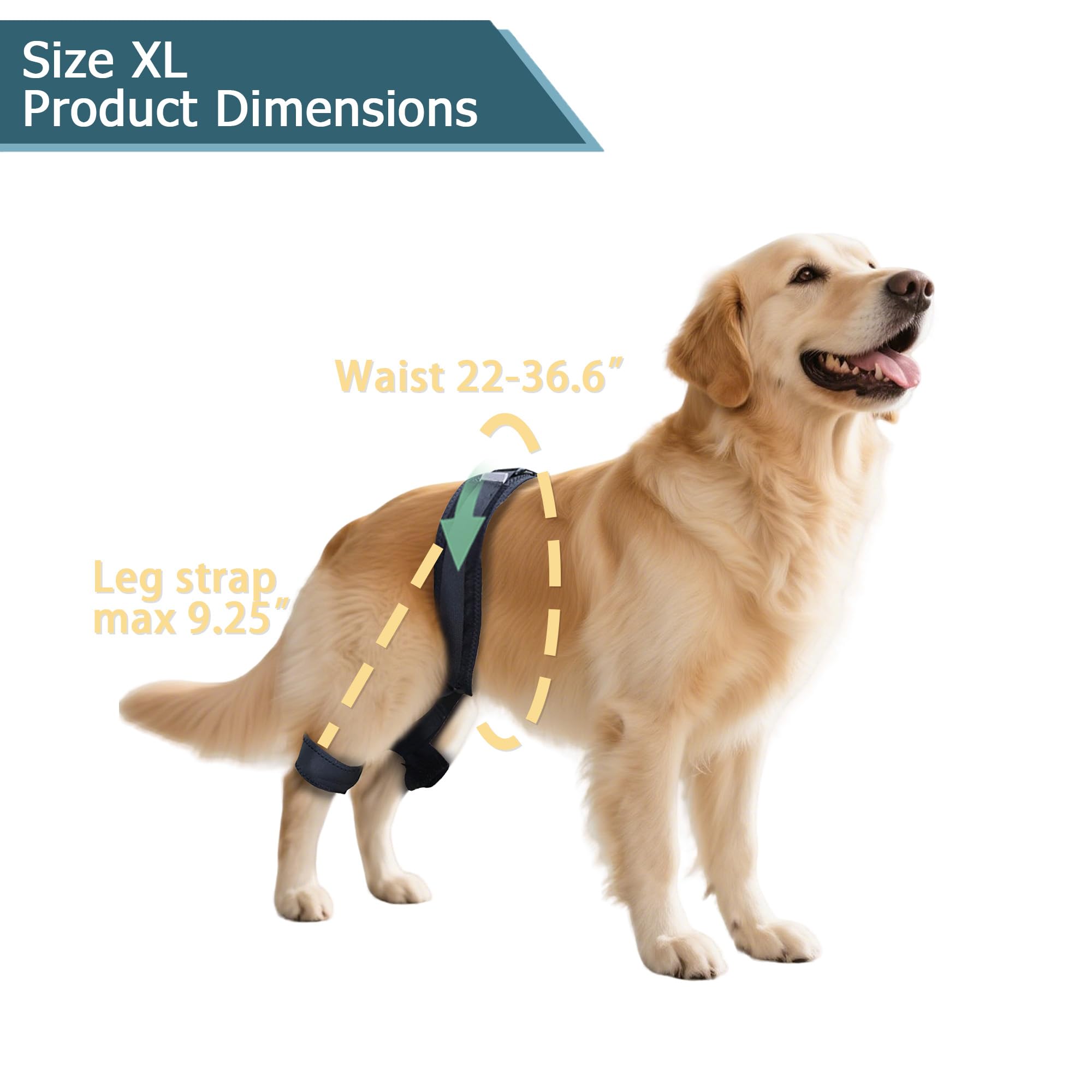 HAPPYHAO breathable material keeps dog's skin comfortable during wear