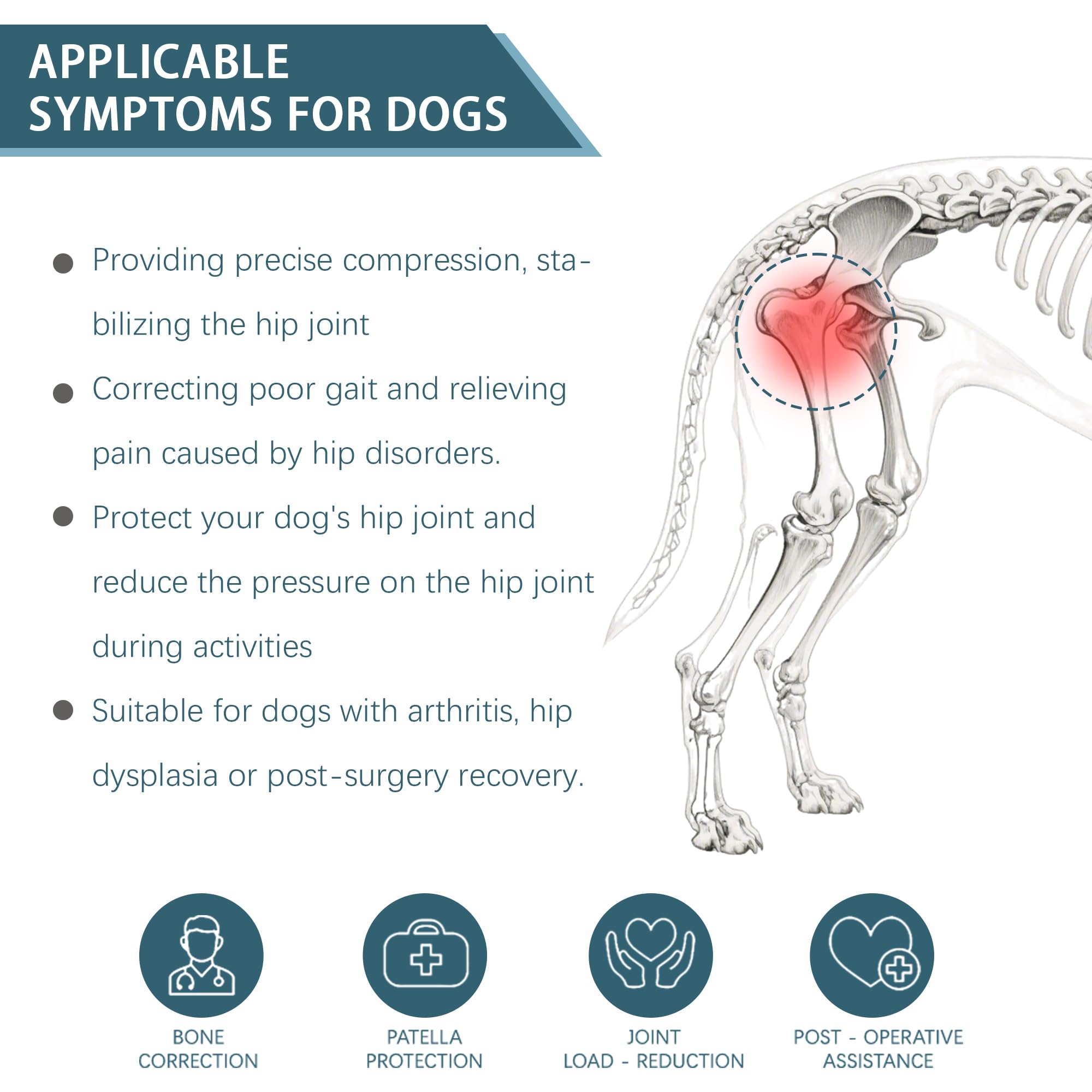 HAPPYHAO size-chart guided hip brace fits small to large dogs