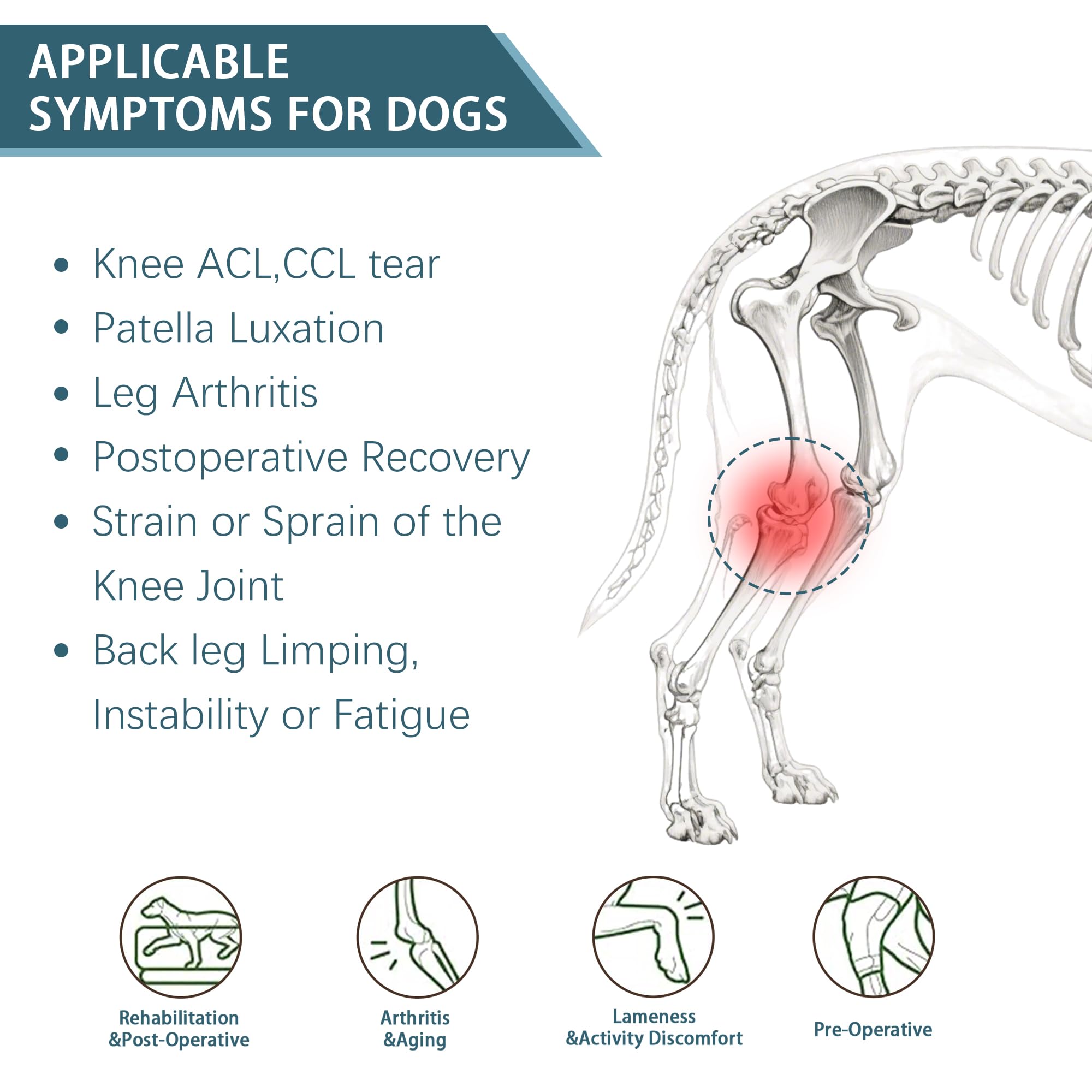 HAPPYHAO knee brace reflective strip enhances nighttime safety for dogs.