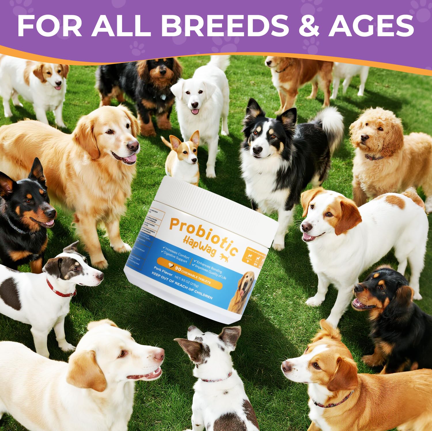 HAPWAG dog allergy chews dog enjoying treat after meal suggesting routine wellness.