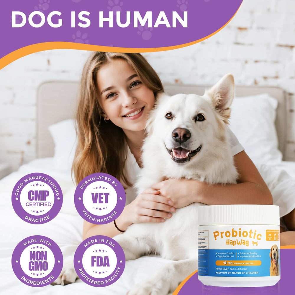 HAPWAG dog allergy chews pork flavor dog eating demonstrates tasty gut health support.