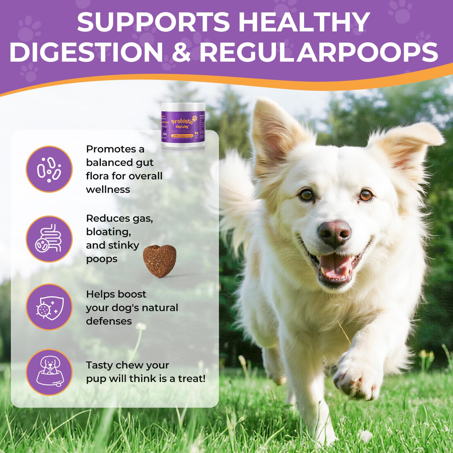 HAPWAG probiotics chew in dog's mouth demonstrates easy administration.