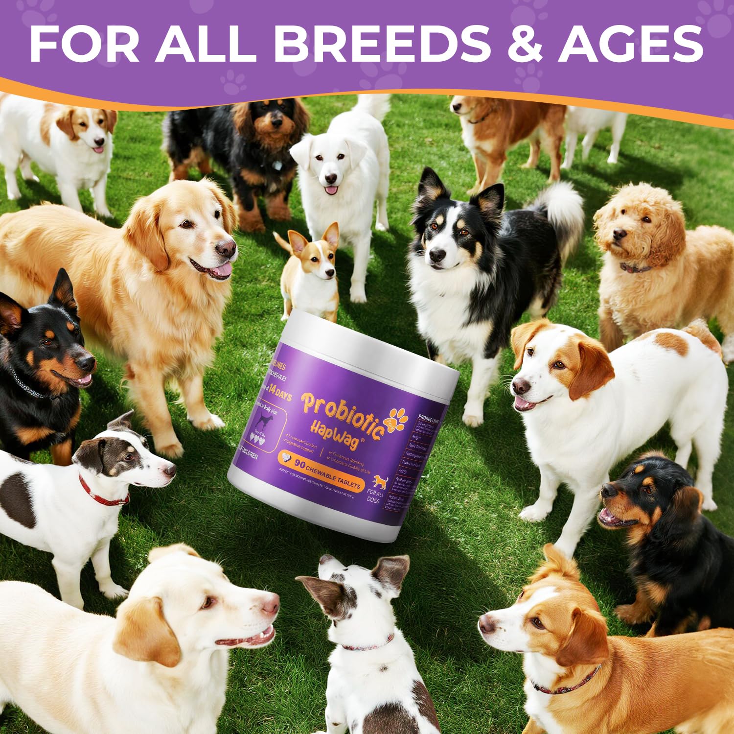 HAPWAG all-breed all-age probiotic supporting digestive health for dogs.