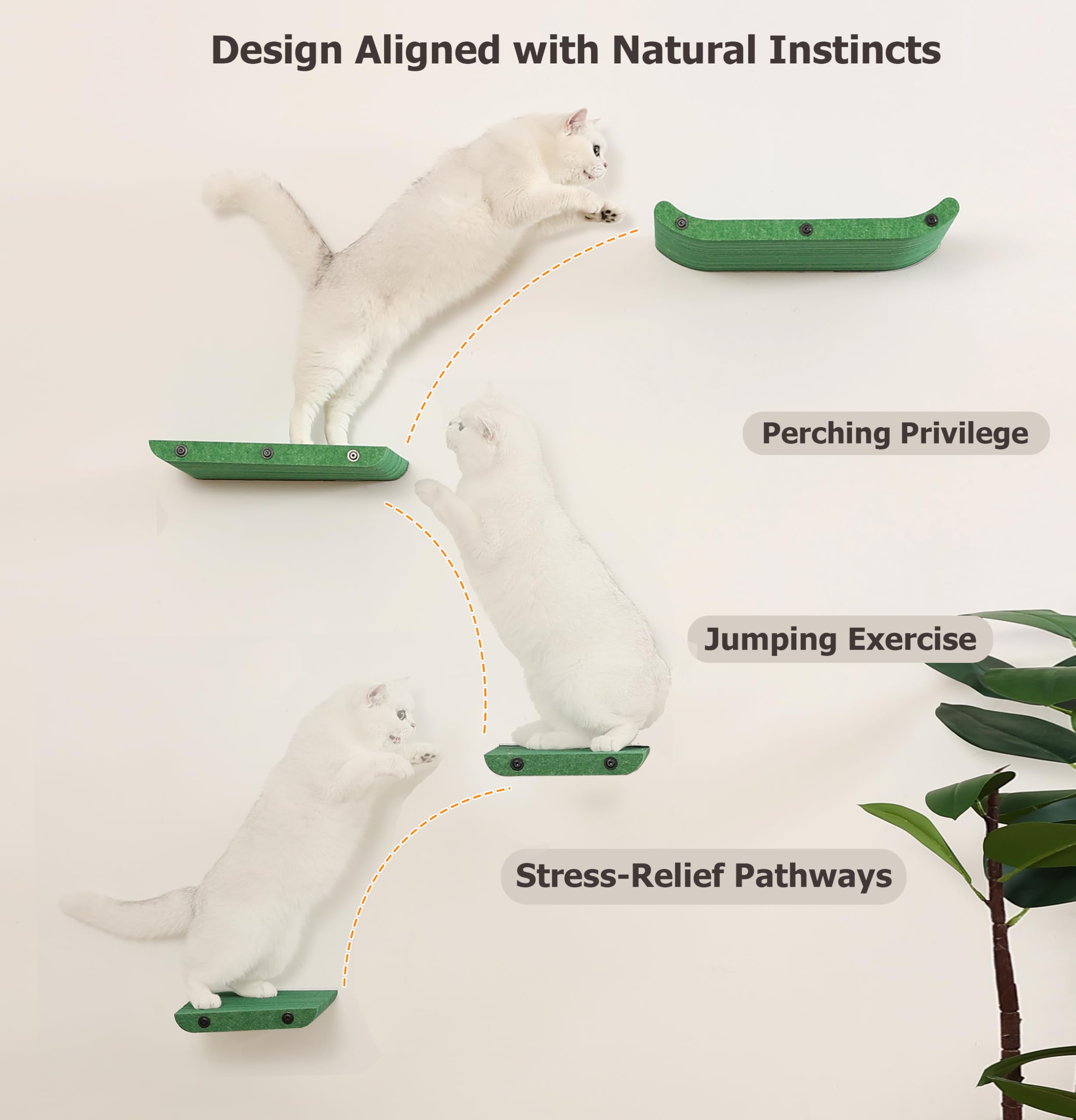 HAPYKITYS Cat Wall Shelves Inside Green Set – space-saving multi-cat playground.
