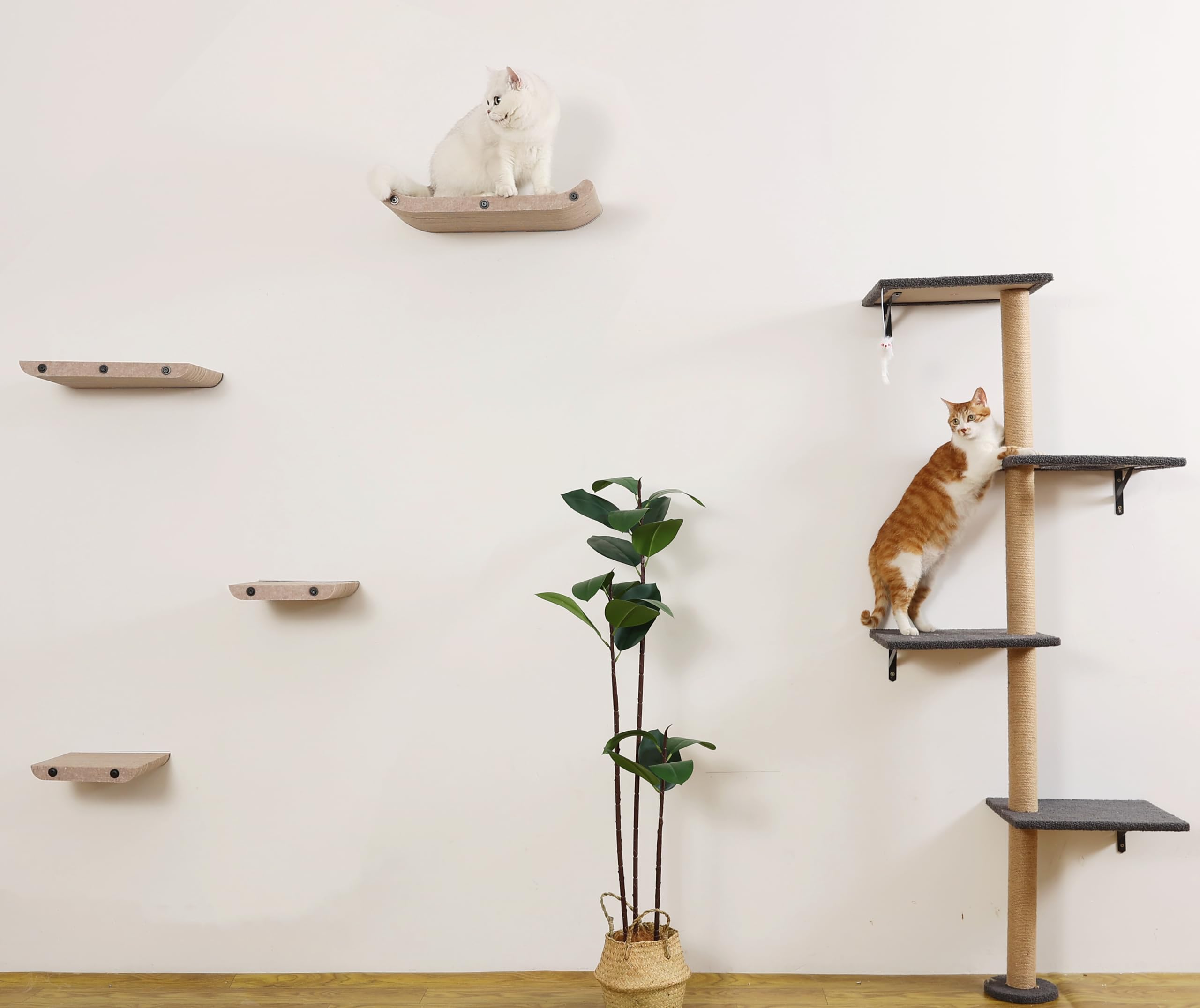 HAPYKITYS multi-cat play area; versatile setup encourages climbing and resting.