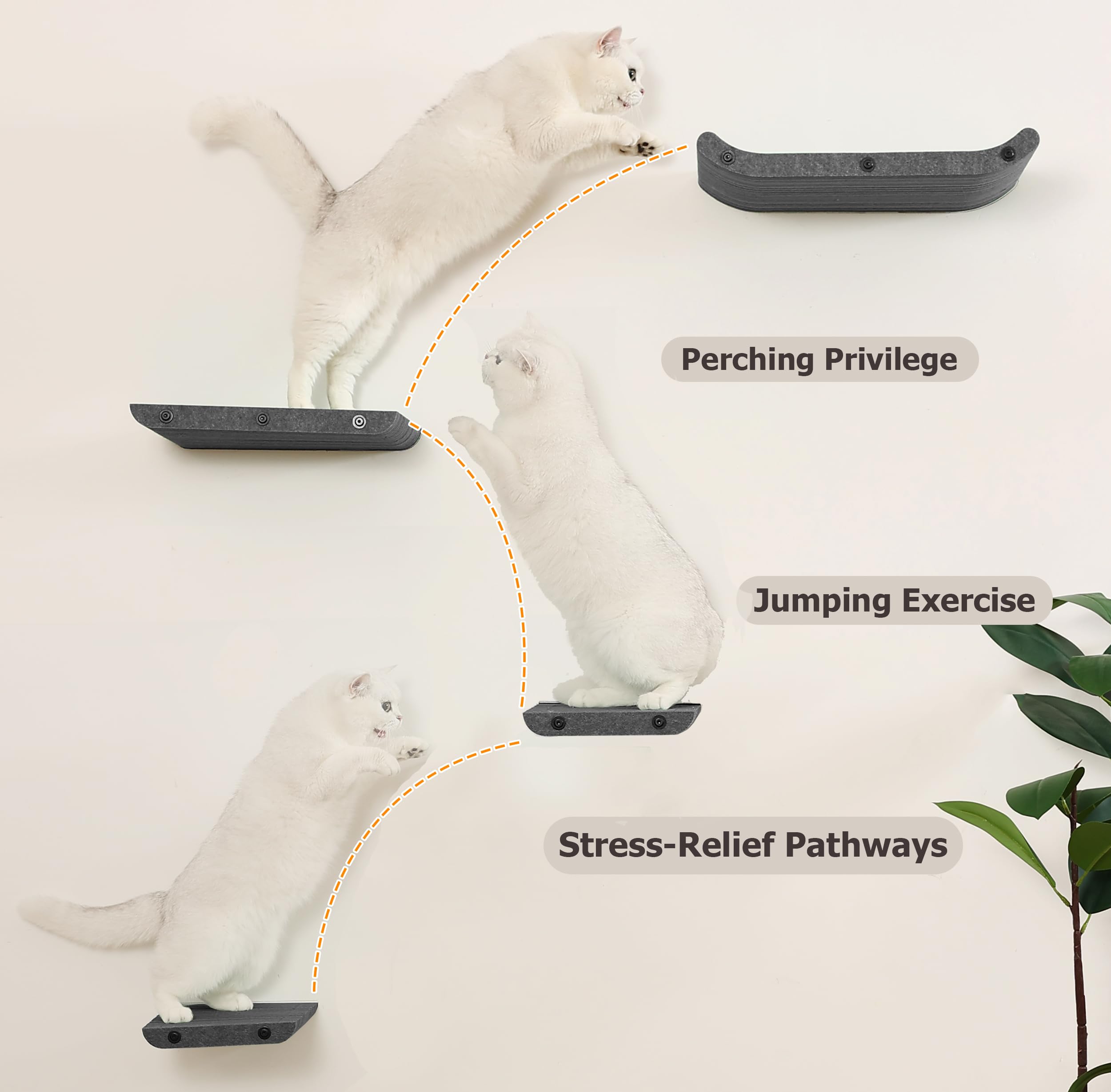 HAPYKITYS secure steel-frame anchors-grey ensure safe multi-cat use on various wall types.