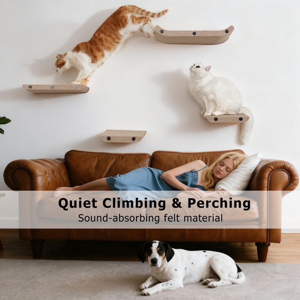 HAPYKITYS secure wall-anchors setup image; sturdy mounting supports multiple cats safely.