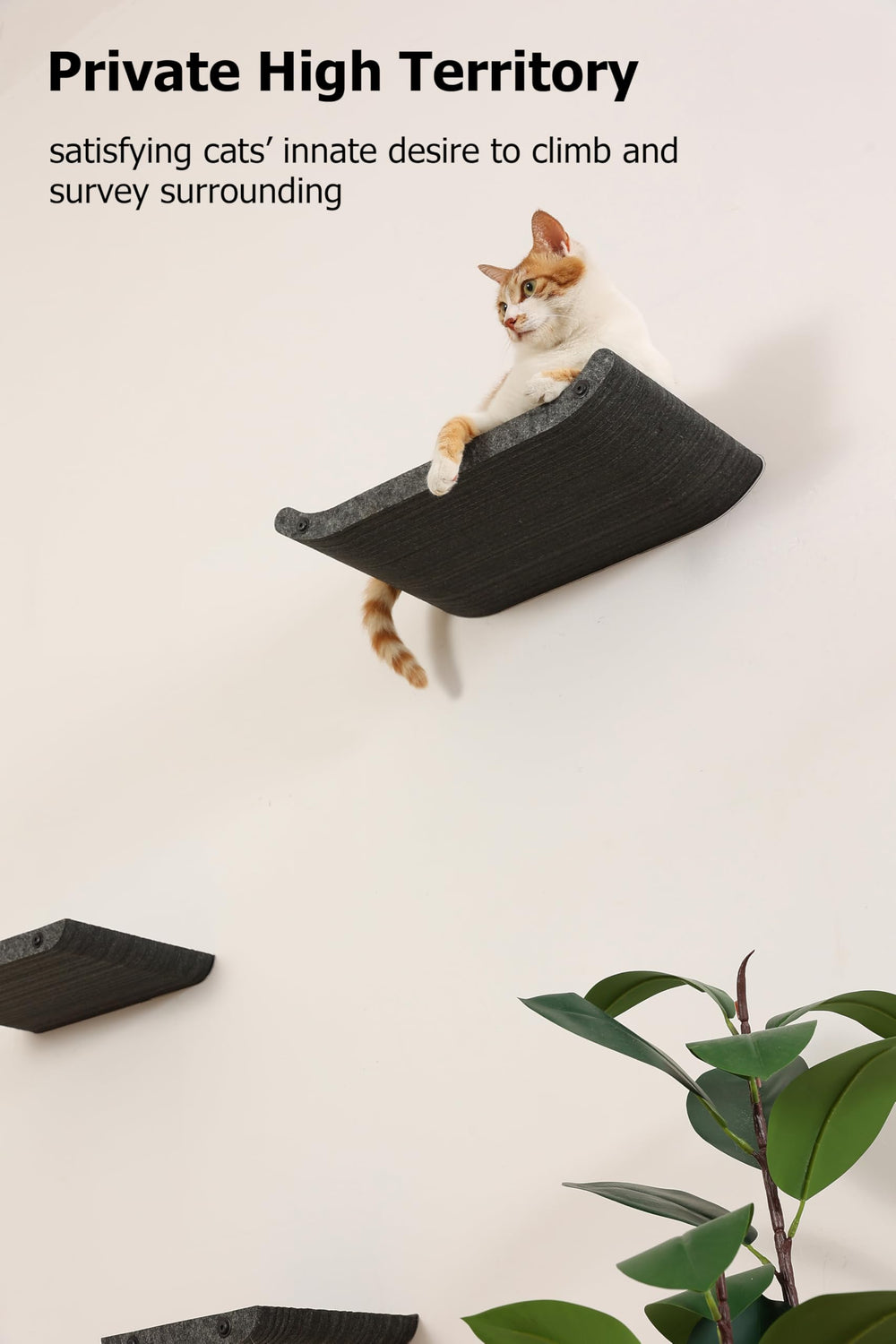 HAPYKITYS vertical cat walkway-grey maximizes room vertical space for exploration.