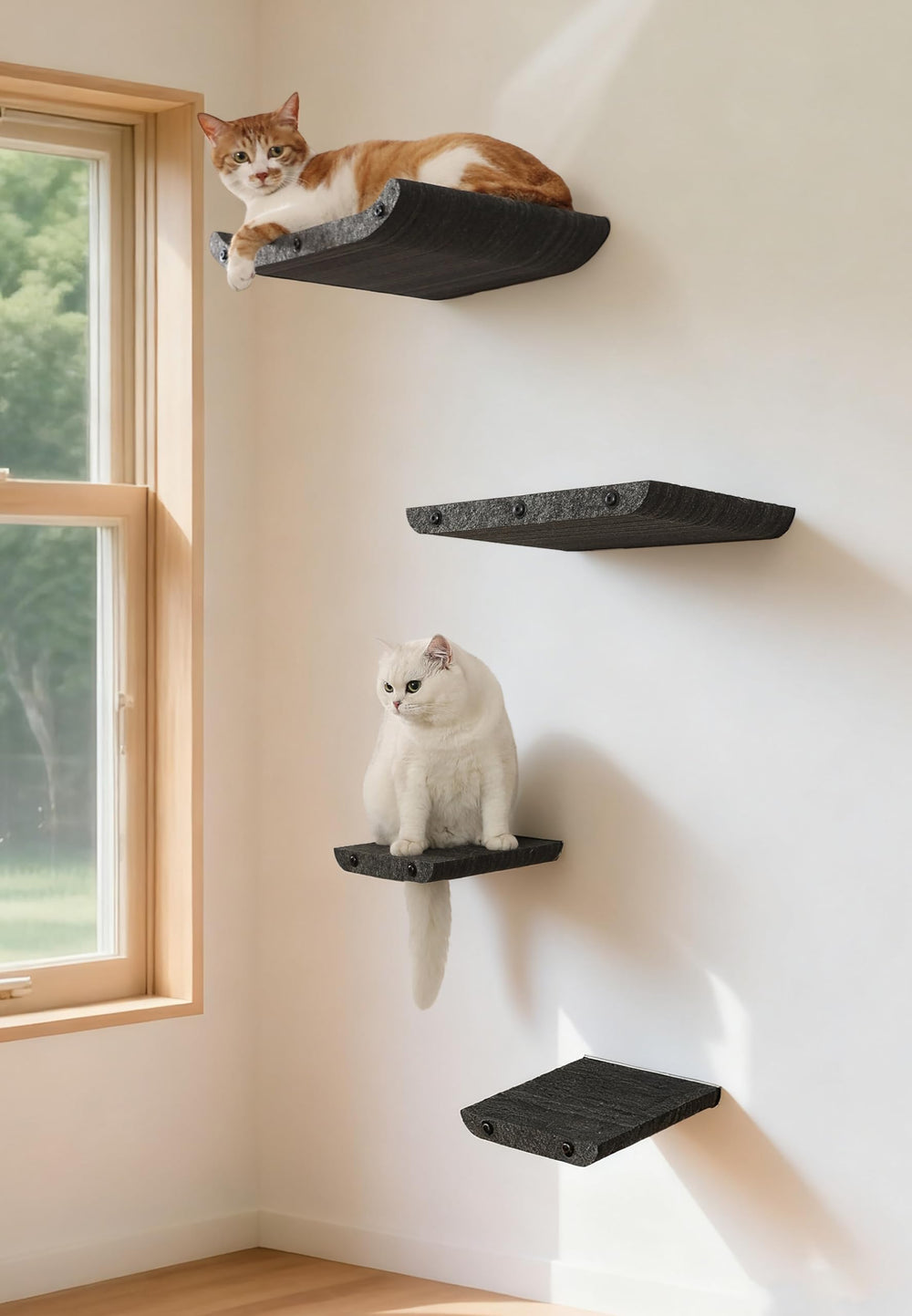 HAPYKITYS wall mounted cat shelves left view offer space-saving vertical play for indoor cats.