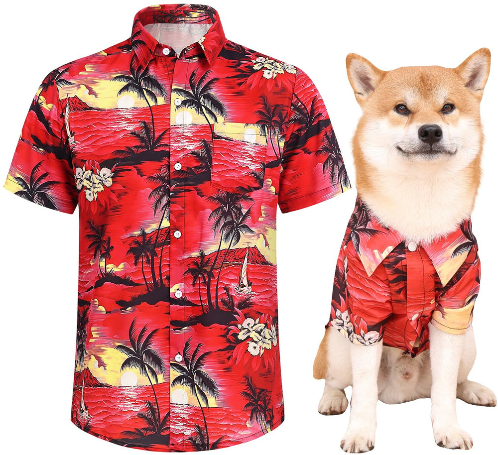 Harbyel Hawaii dog shirts on a dog walk offer comfy sun protection.