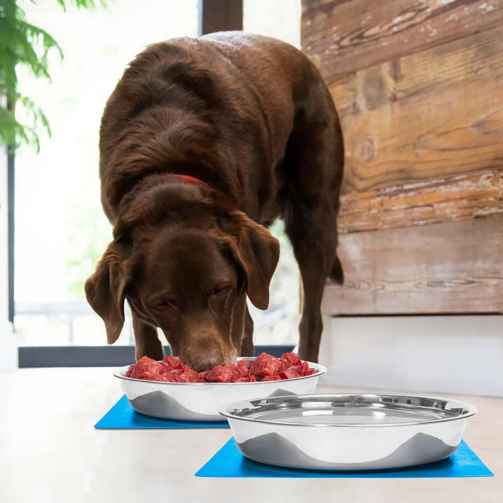 Harhana shallow bowls brushed and polished finish for easy cleaning