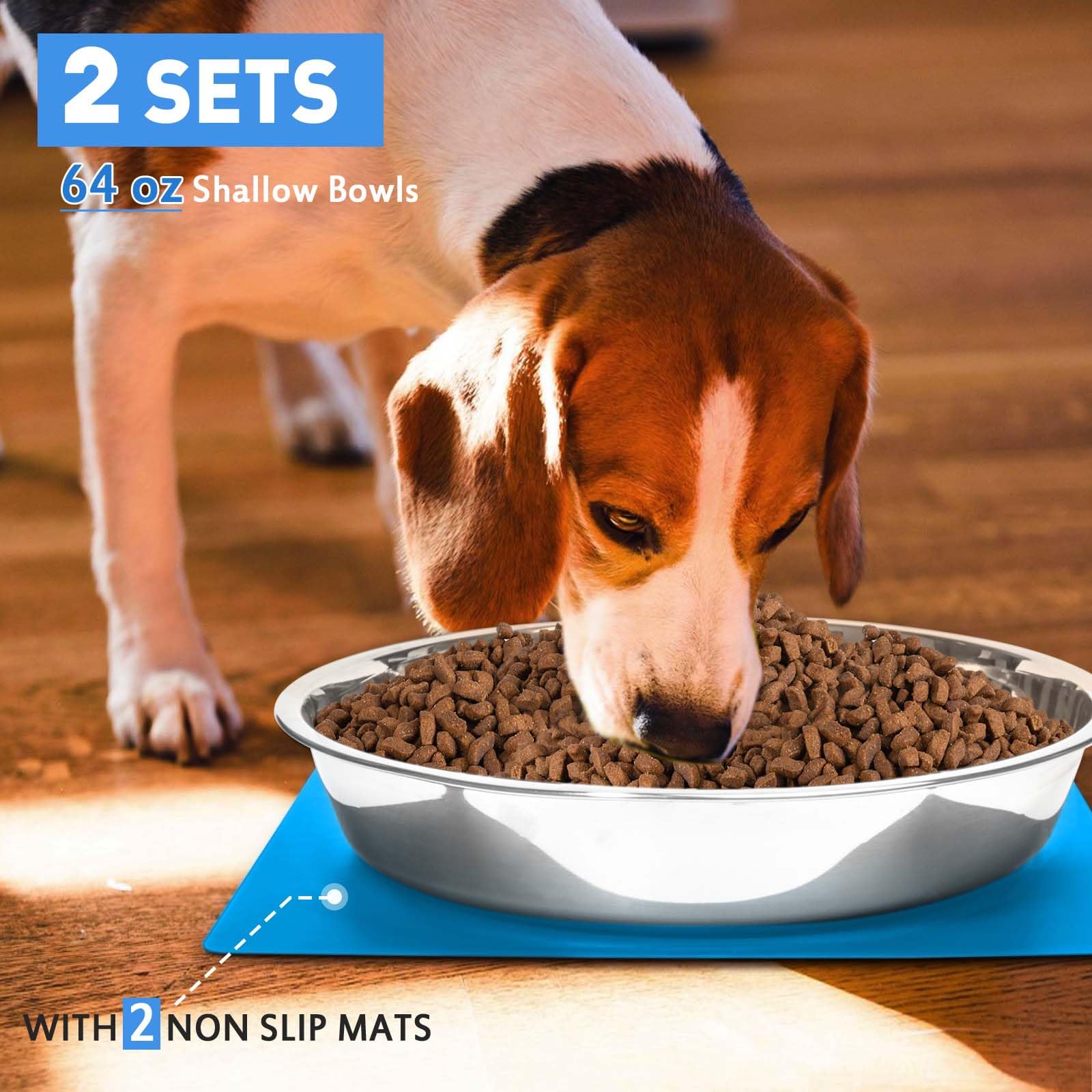 Harhana shallow bowls with 2-inch height for whisker-friendly feeding