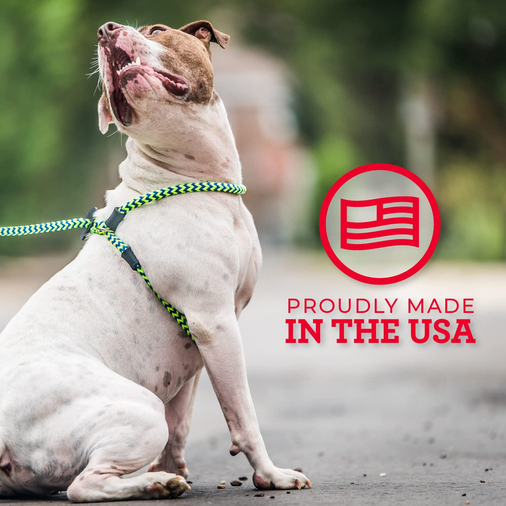 Harness Lead cushioned rope material close-up emphasizes comfort during longer walks.