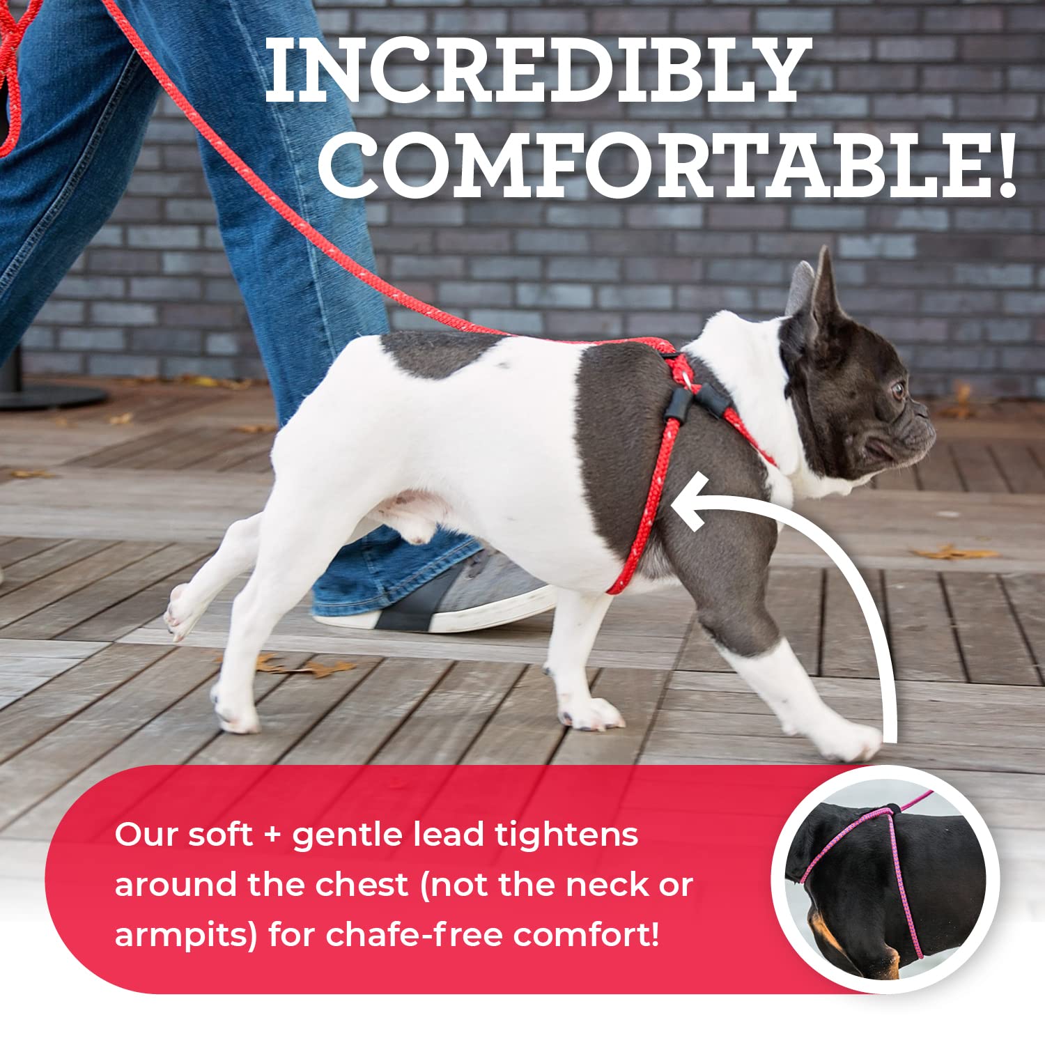 Harness Lead dog-walking in soft, cushioned rope harness reduces tugging and enhances control.